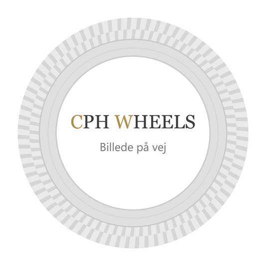 Pirelli Pzero PZ4 SP.CAR 285/40 R21 109Y – Sommerdæk